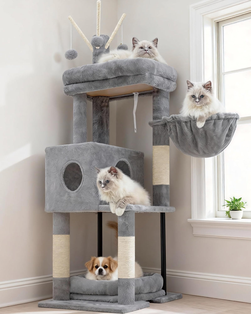 Heybly cat tree top perch provides a spacious high resting spot for cats.