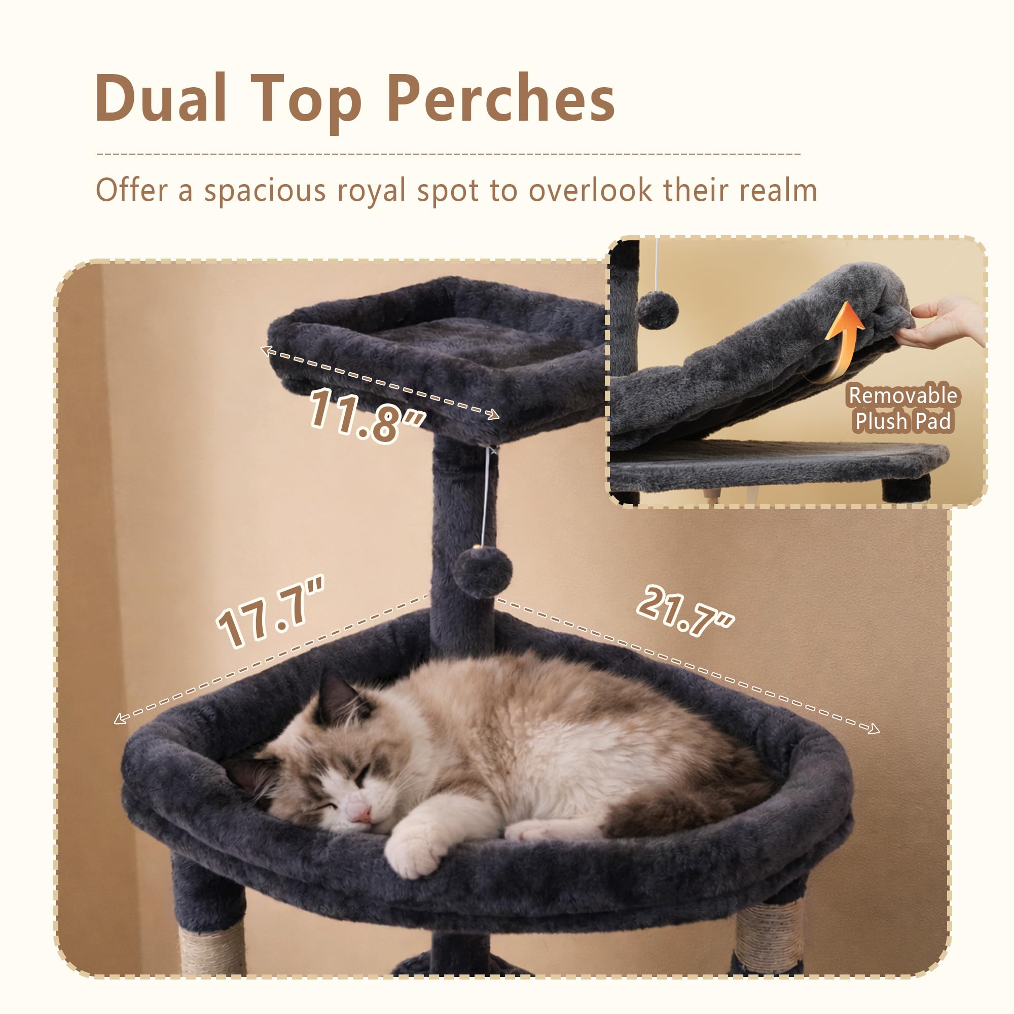 Heybly cat tree top square platform for panoramic views.