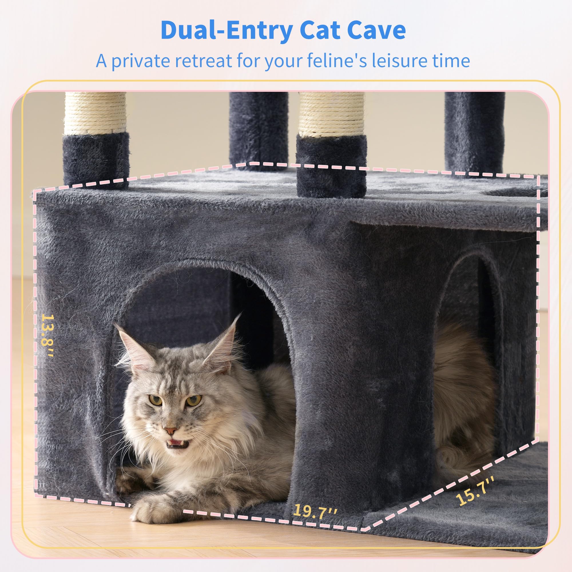 Heybly cat tree toys and perches add enrichment during playtime.