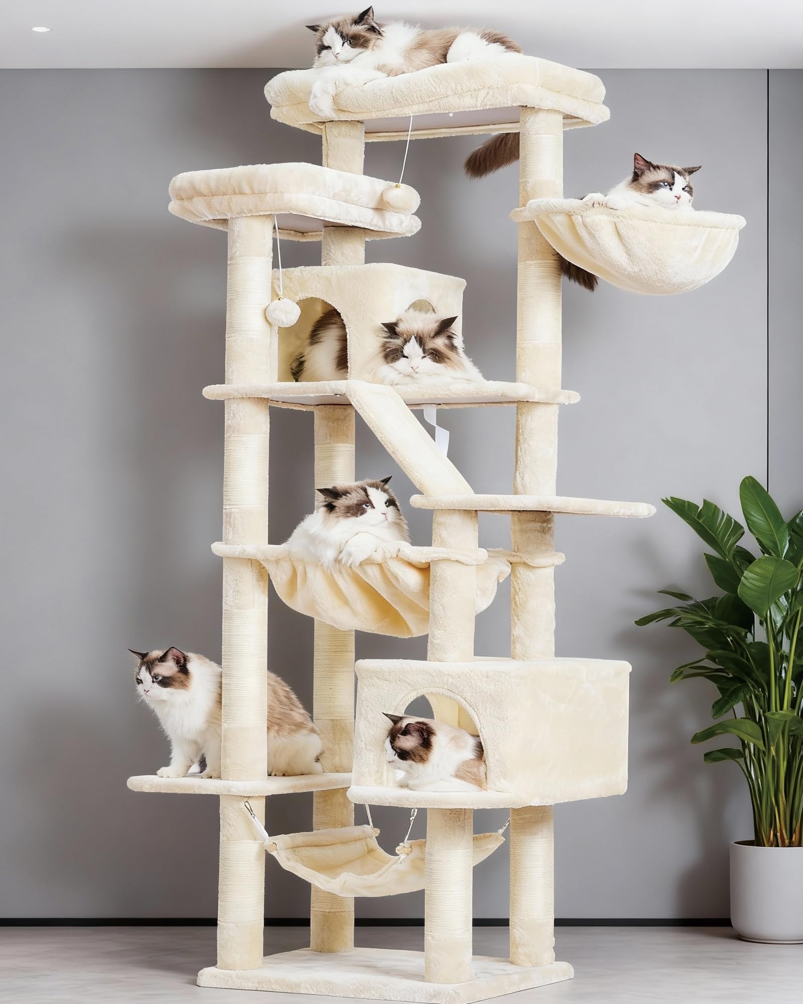 Heybly cat tree two condos create private lounging dens for curious felines.