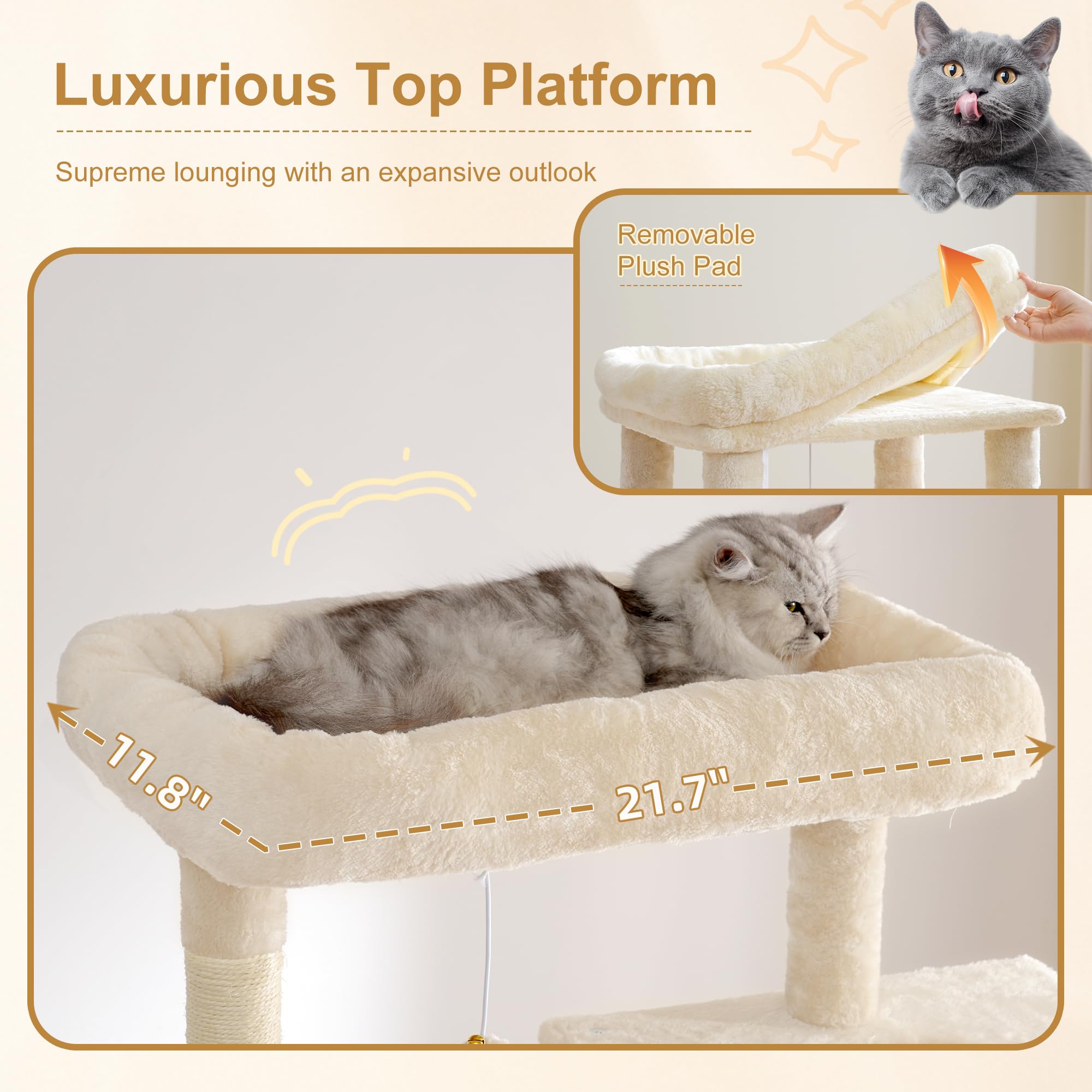 Heybly cat tree features two condos for private lounging.
