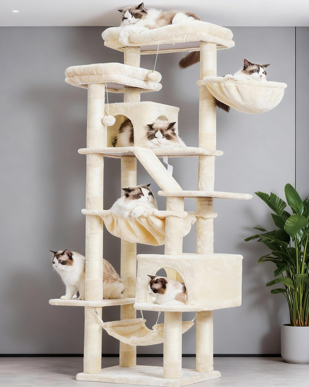 Heybly cat tree two condos create private lounging dens for curious felines.