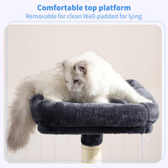 Heybly cat tree with two jumping platforms supports active play and easy ascent.