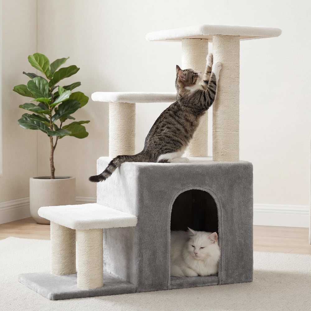 Heybly 30 lb capacity supports small to mid-sized pets.