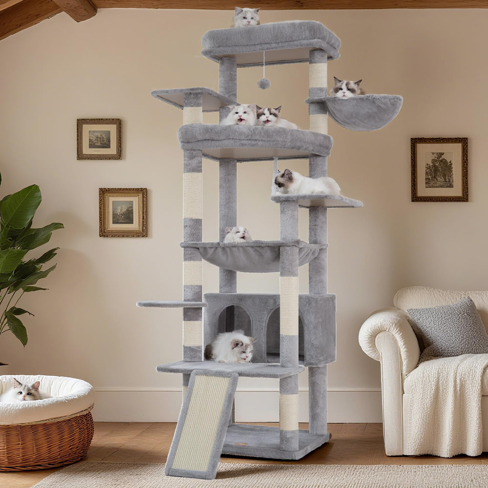 Heybly tall cat tree for large cats suits multi-cat homes and shared play.