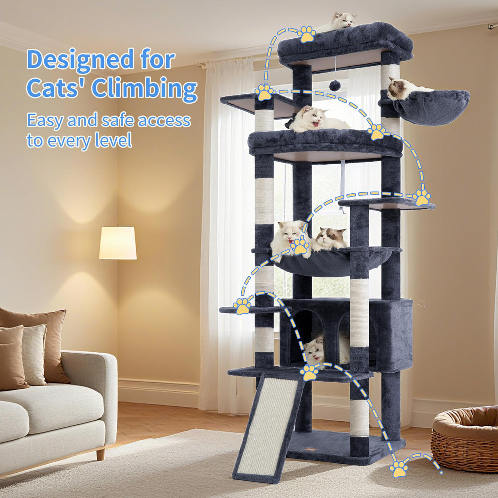 Heybly scratching board on the tower encourages healthy scratching