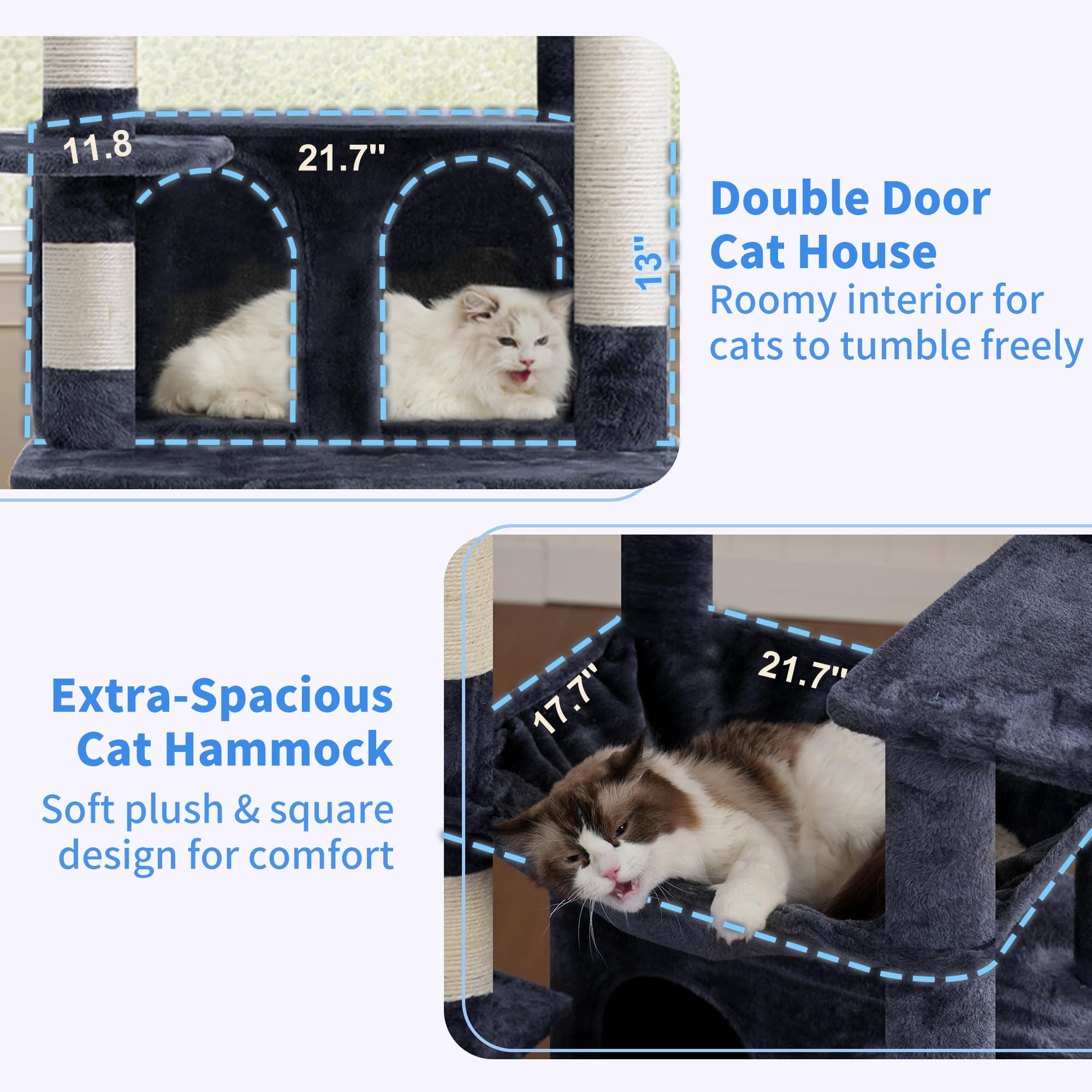 Heybly top perch right provides a cozy perch for daytime naps