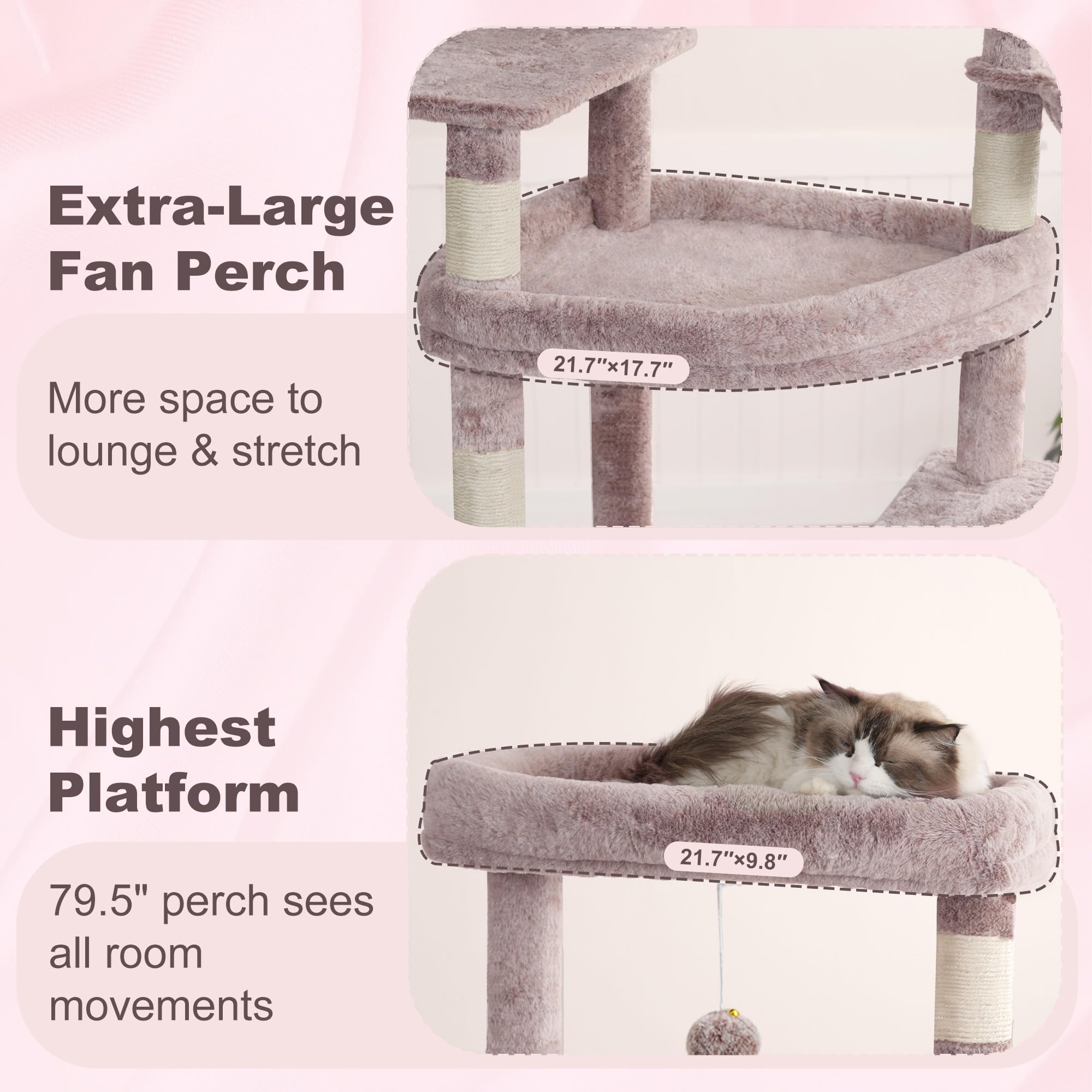 Heybly top perch area spacious lounging space for cats