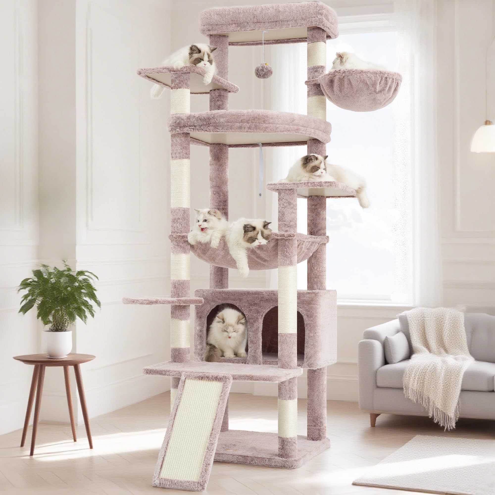 Heybly reinforced base supports heavy cats with stability