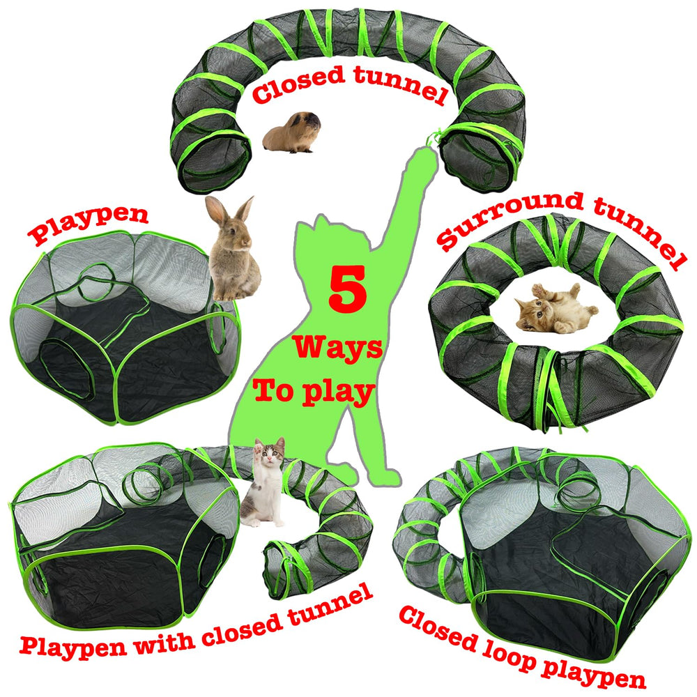 HEYHOME spacious area supports multiple small pets for shared play.