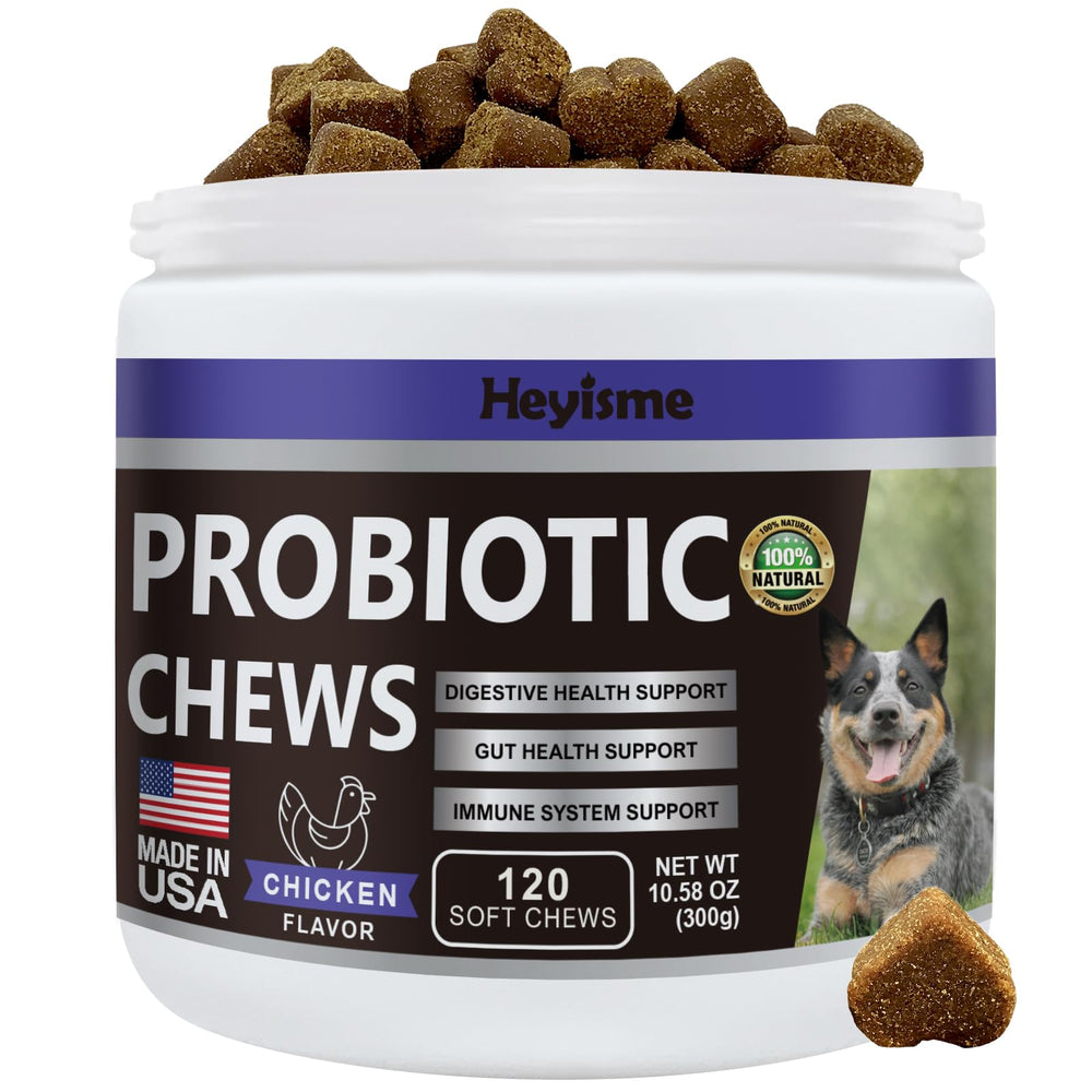 HEYISME Dogs Probiotics bottle demonstrates gut balance support for pets