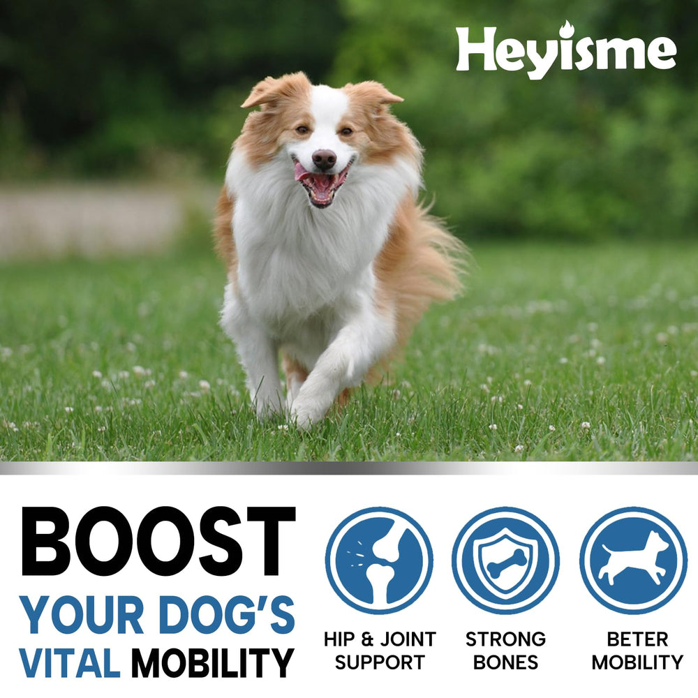 HEYISME hemp-infused dog treats aimed at joint comfort.
