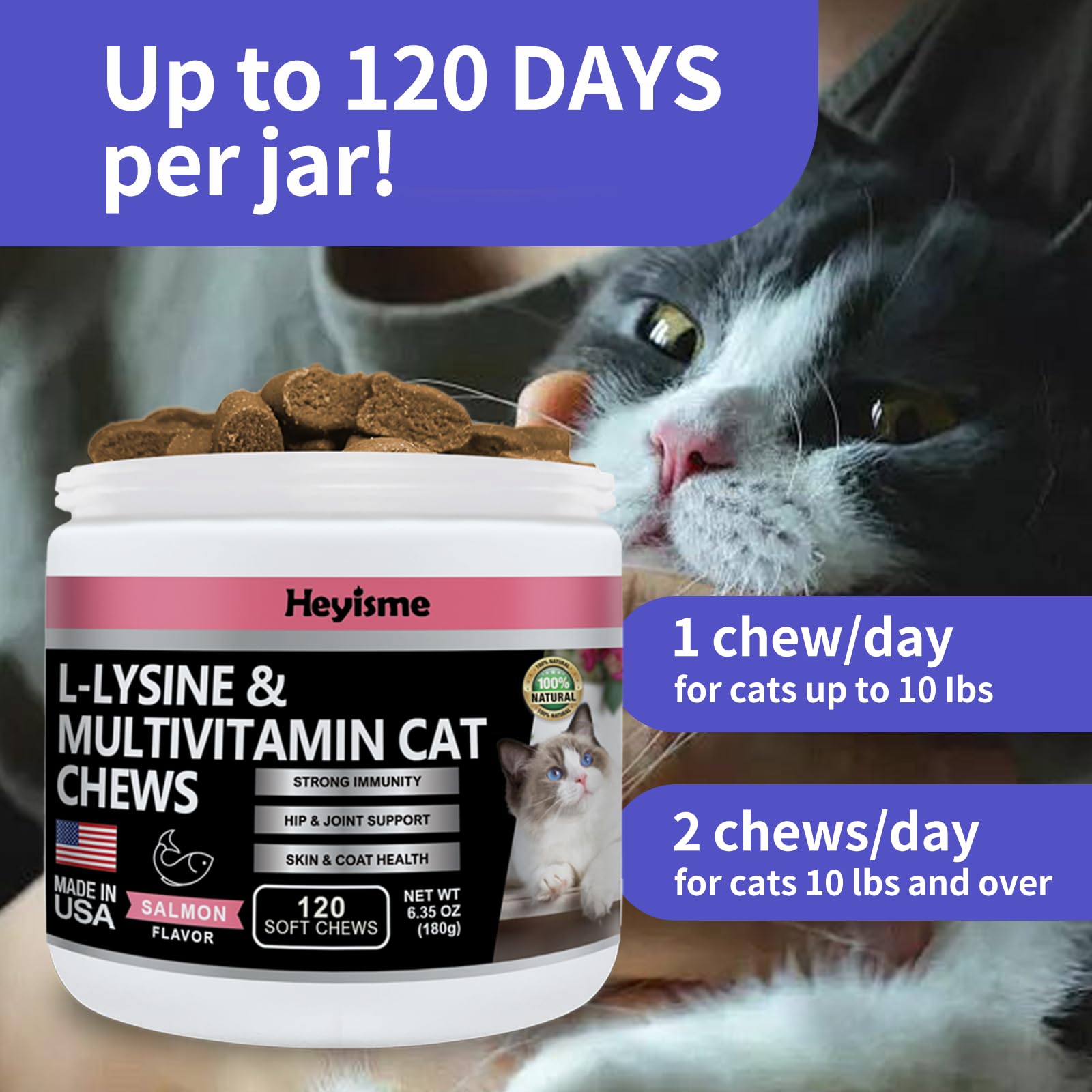 HEYISME Lysine cat treats eye health theme hints at nasal comfort and respiratory function potential.