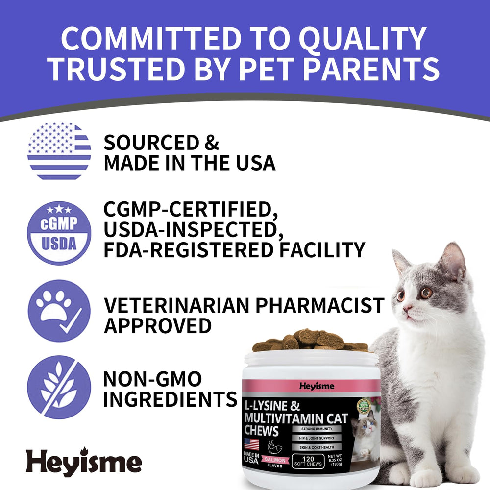 HEYISME Lysine cat treats immune support framing highlights overall wellness for cats.