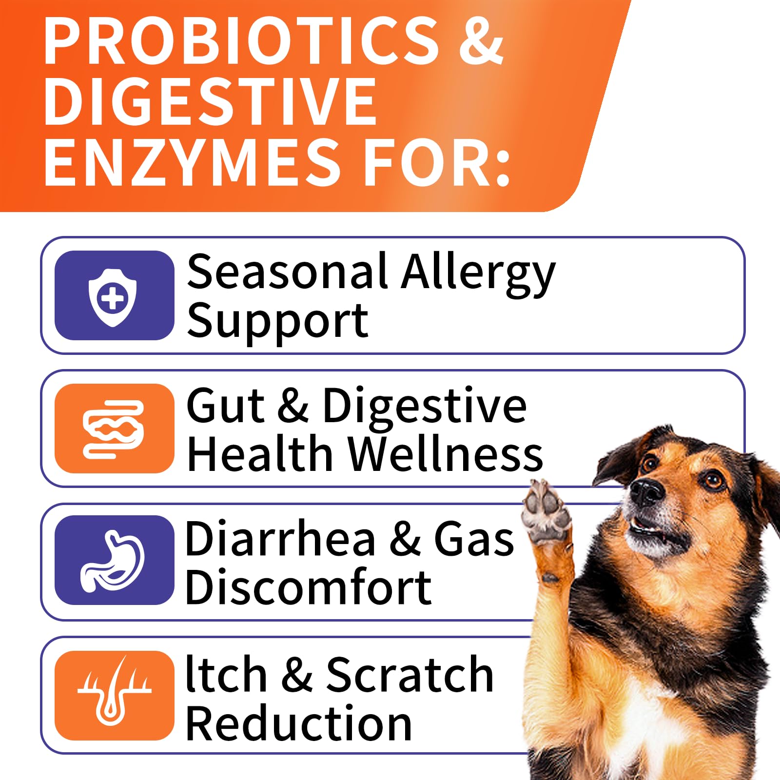 HEYISME Probiotics soft chews for dogs enable easy daily dosing