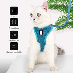 HEYWEAN harness with 360 wrap distributes pressure for safe walking.