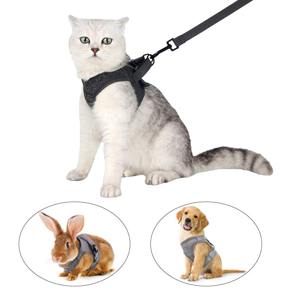 HEYWEAN clip-and-go design makes leash attachment easy during strolls