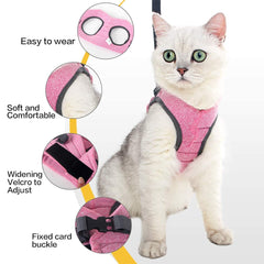 Heywean Cat Harness escape-proof feature shown for secure outdoor adventures.