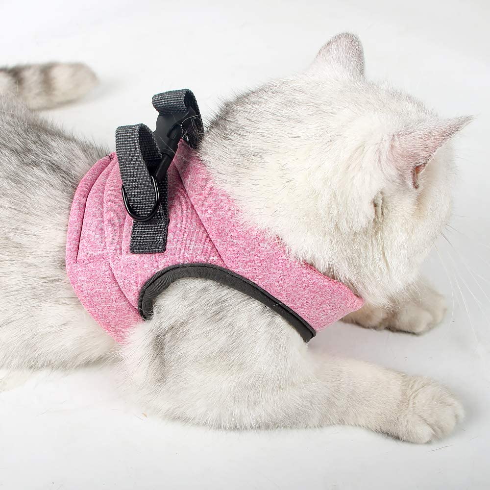 Heywean Harness lightweight, moisture-wicking material dries quickly after use.