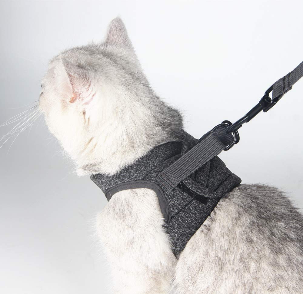 HEYWEAN size chart helps pick the perfect fit for small pets