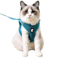HEYWEAN cat harness ultra-light for unrestricted movement on walks.