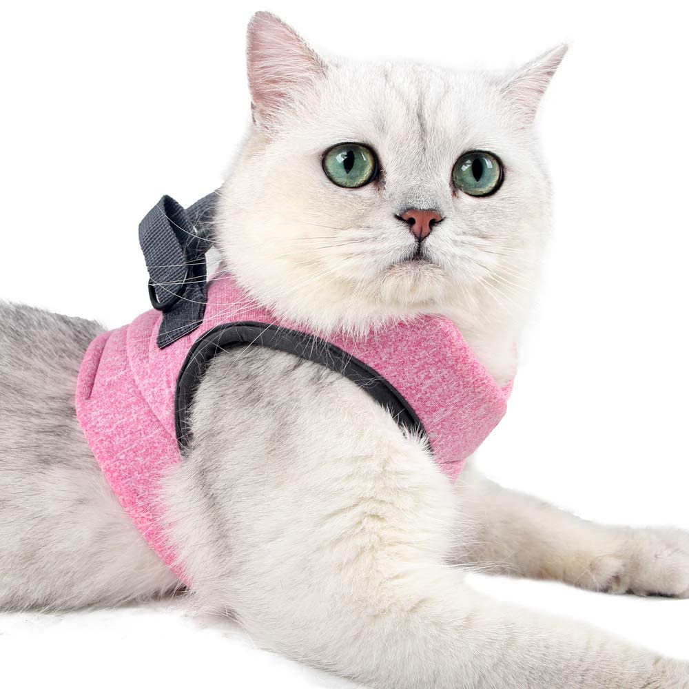 Heywean Cat Harness worn on a cat for comfortable daily walks.