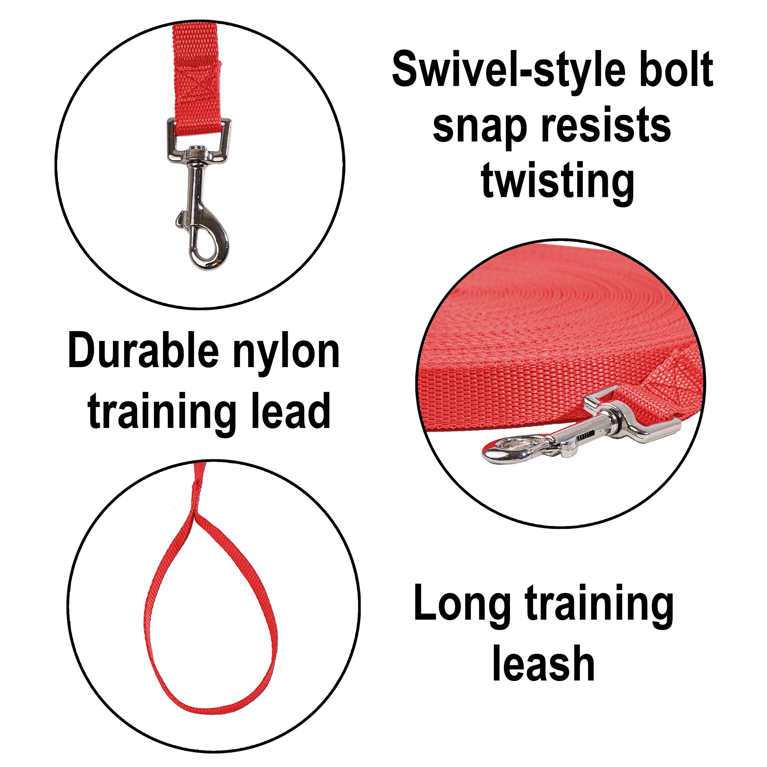 Hi Kiss 100ft recall leash red closeup, clip swivels to resist twists.
