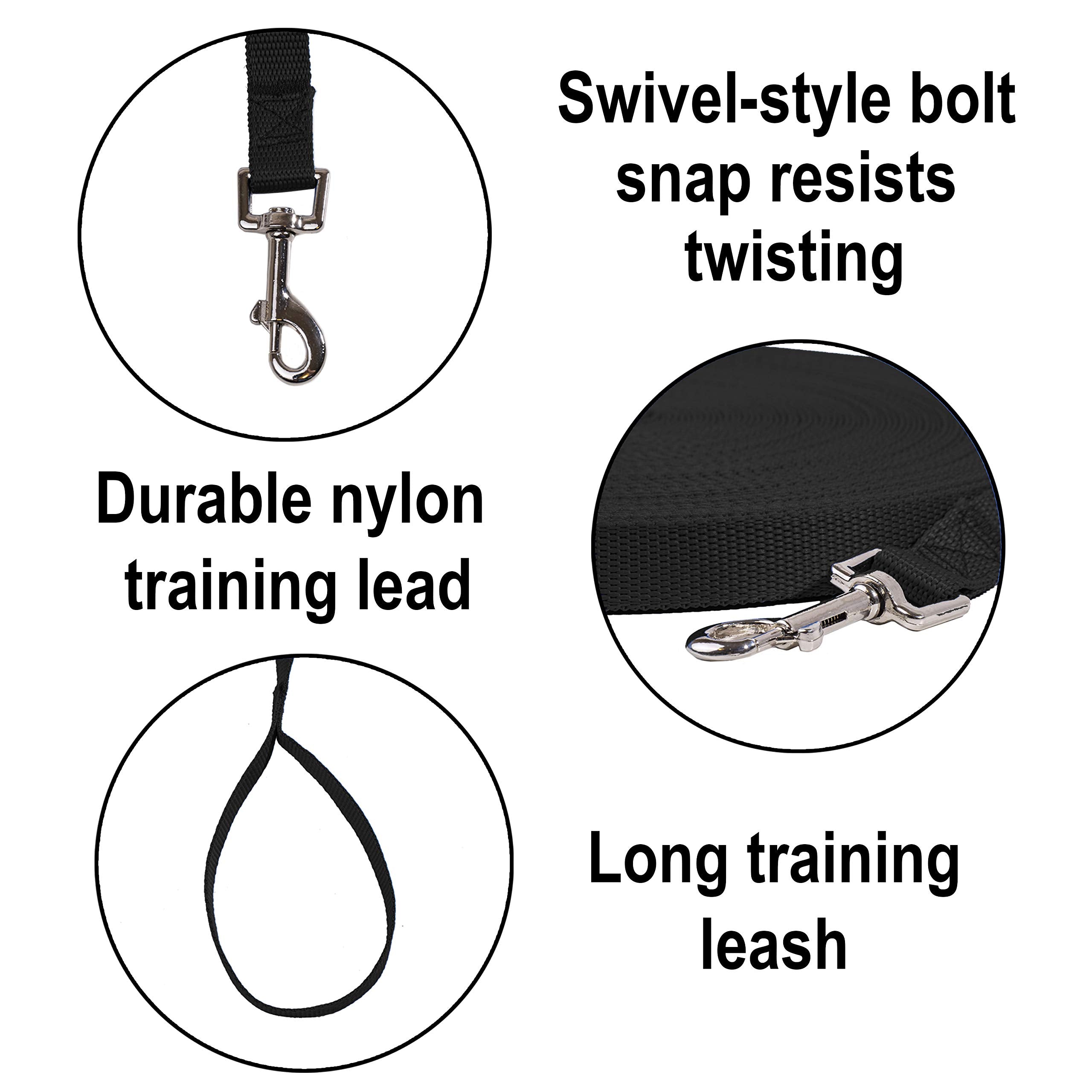 Hi Kiss nylon strap leash ensures durability for daily walks and training.