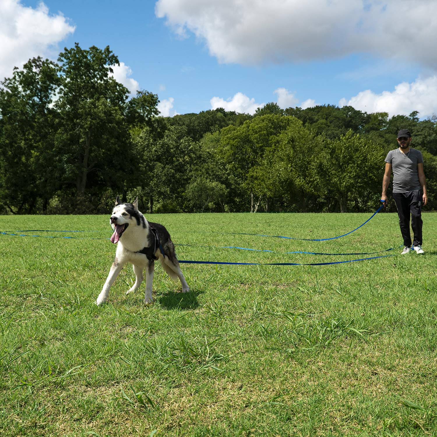 Hi Kiss leash ideal for outdoor play like hiking, camping, and backyard training.