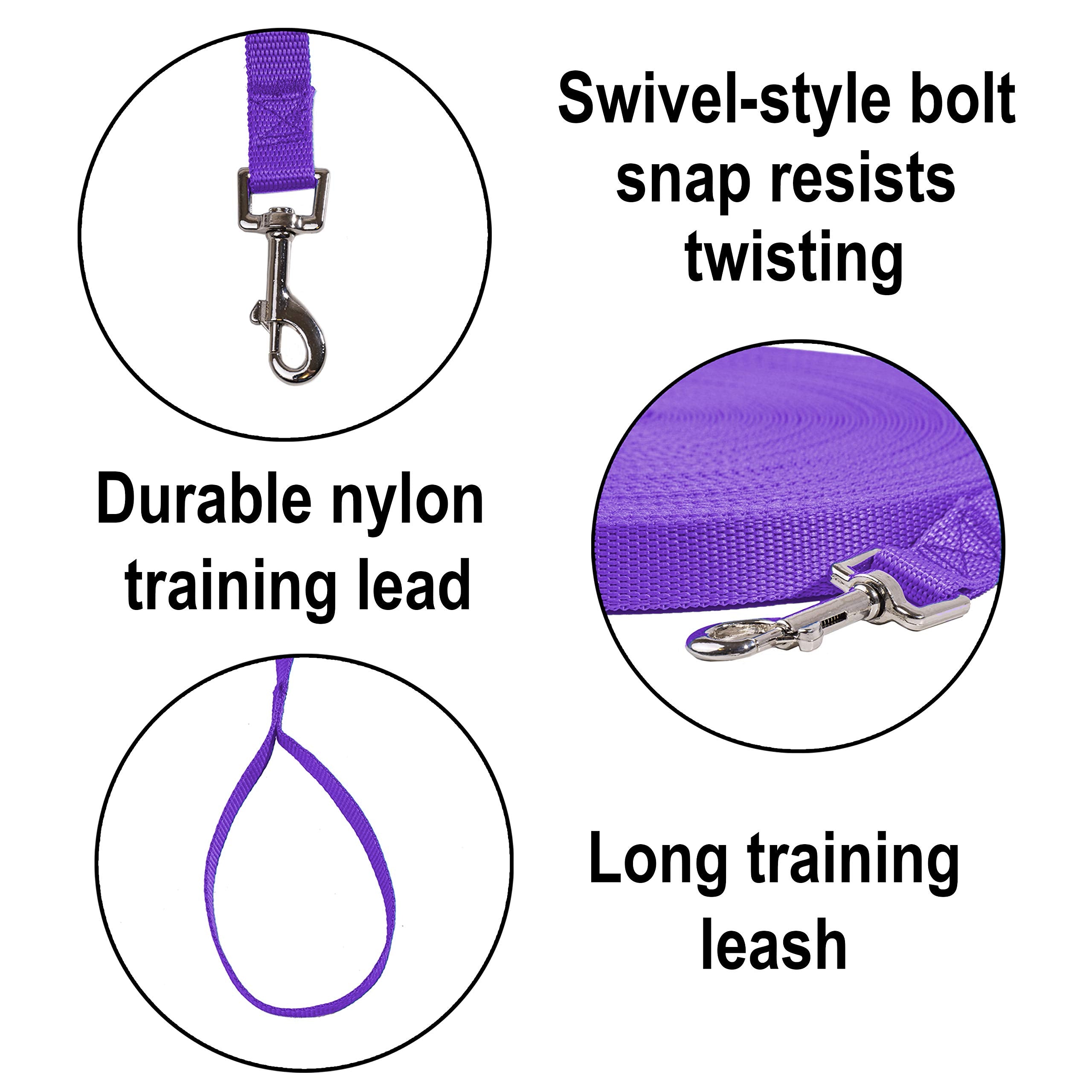 Hi Kiss swivel bolt snap leash to resist twisting during active sessions