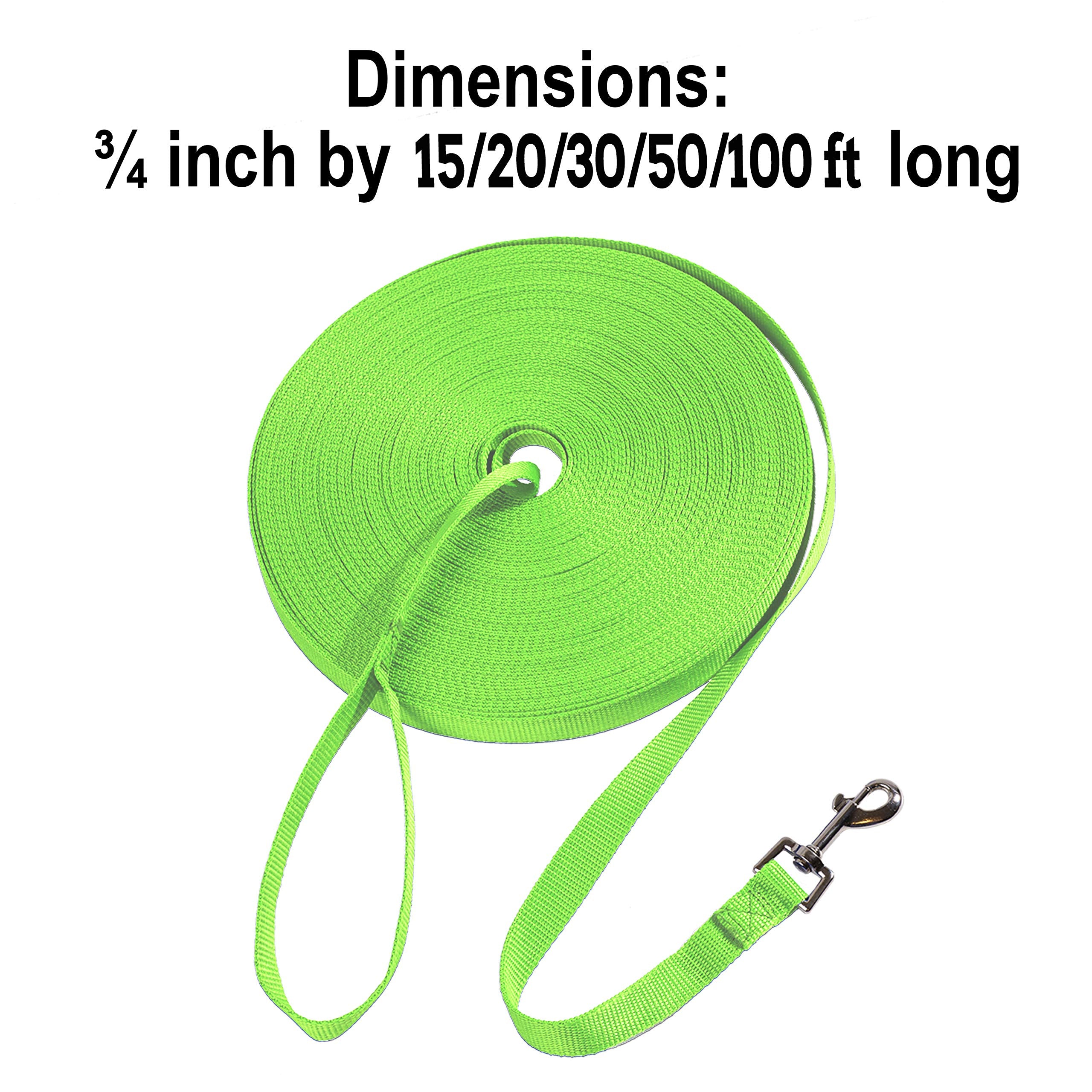 Hi Kiss durable-nylon-leash green closeup highlights reinforced stitching.