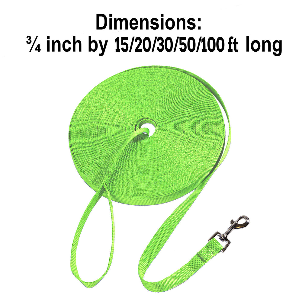 Hi Kiss durable-nylon-leash green closeup highlights reinforced stitching.