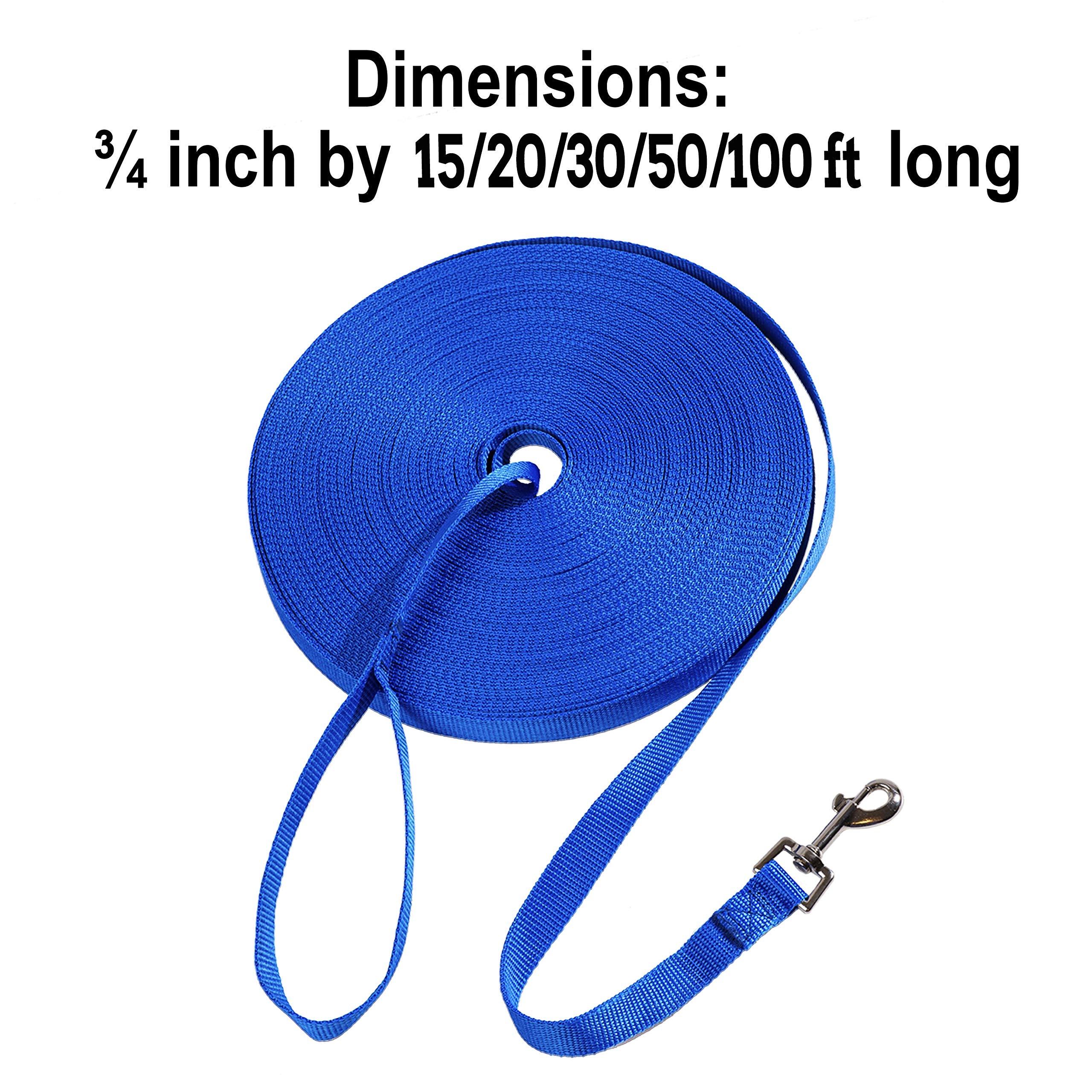 Hi Kiss swivel clip leash resists twisting during training