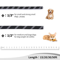 Hi Kiss durable nylon leash offers lightweight yet tough construction for outdoor adventures.