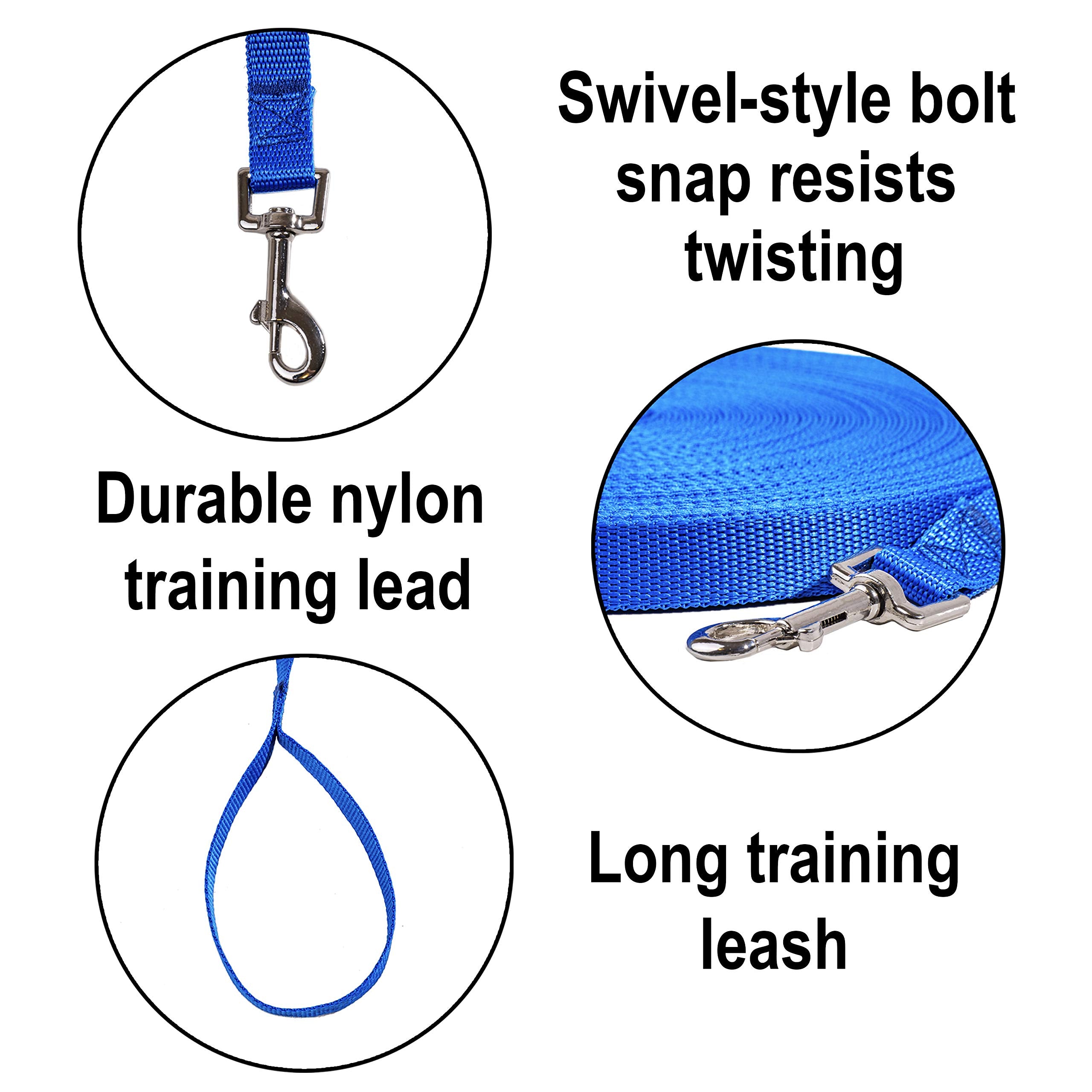 Hi Kiss nylon leash with reinforced stitching and durable clip