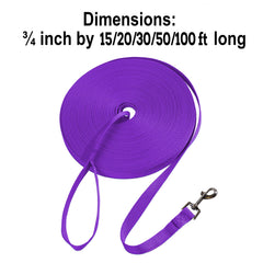 Hi Kiss outdoor dog leash designed for hiking and camping adventures