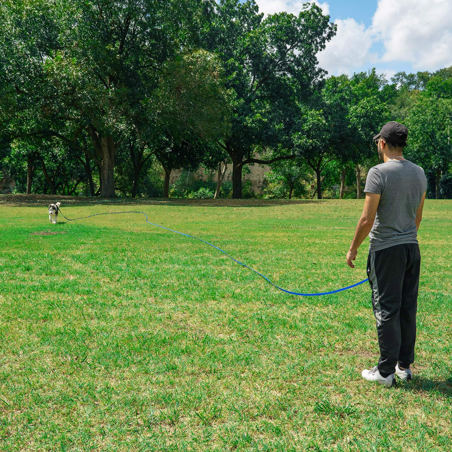 Hi Kiss outdoor-walk-leash green suitable for camping and hikes.