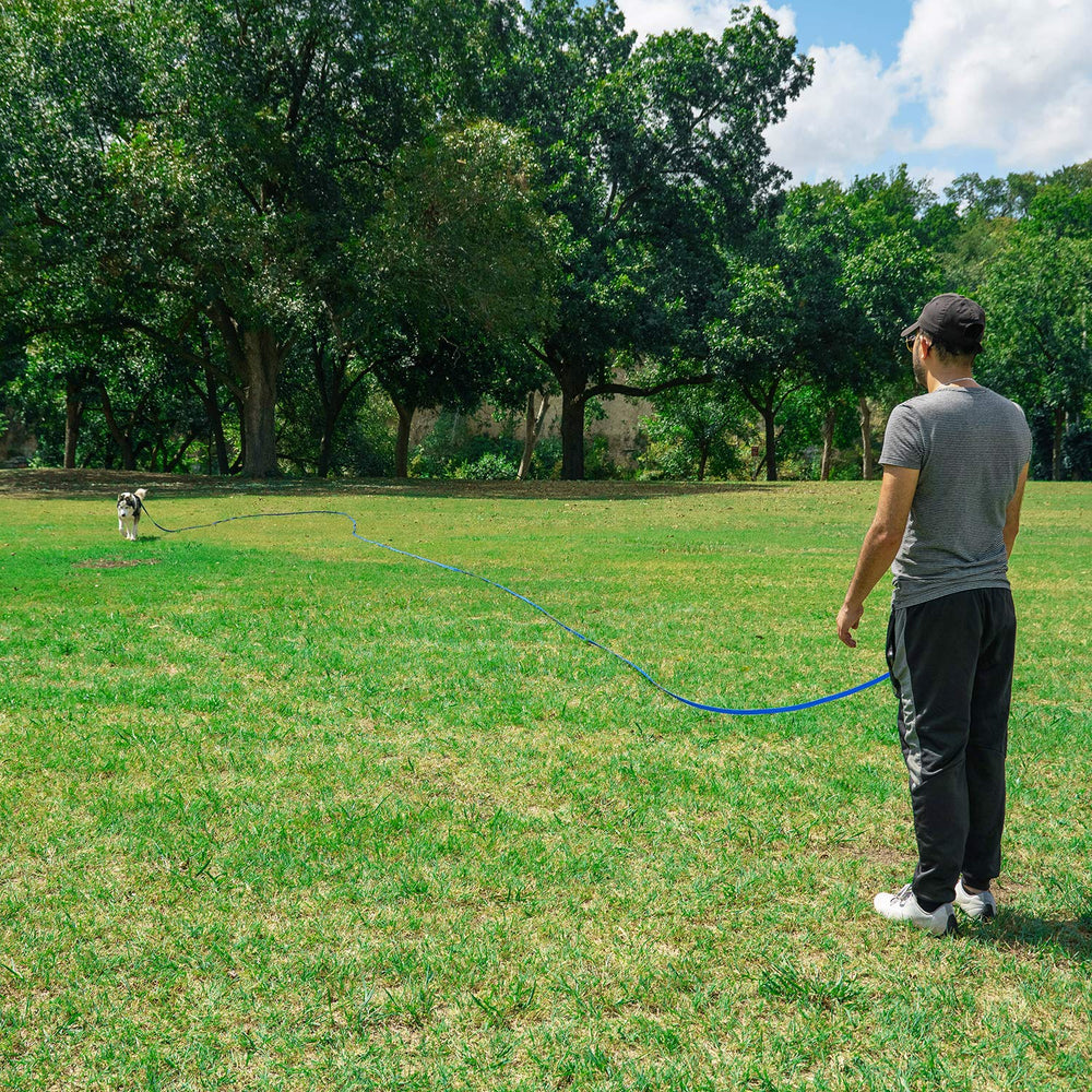 Hi Kiss outdoor-walk-leash green suitable for camping and hikes.