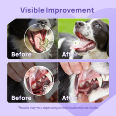 HICC PET breath freshener for dogs applied along gums for freshness