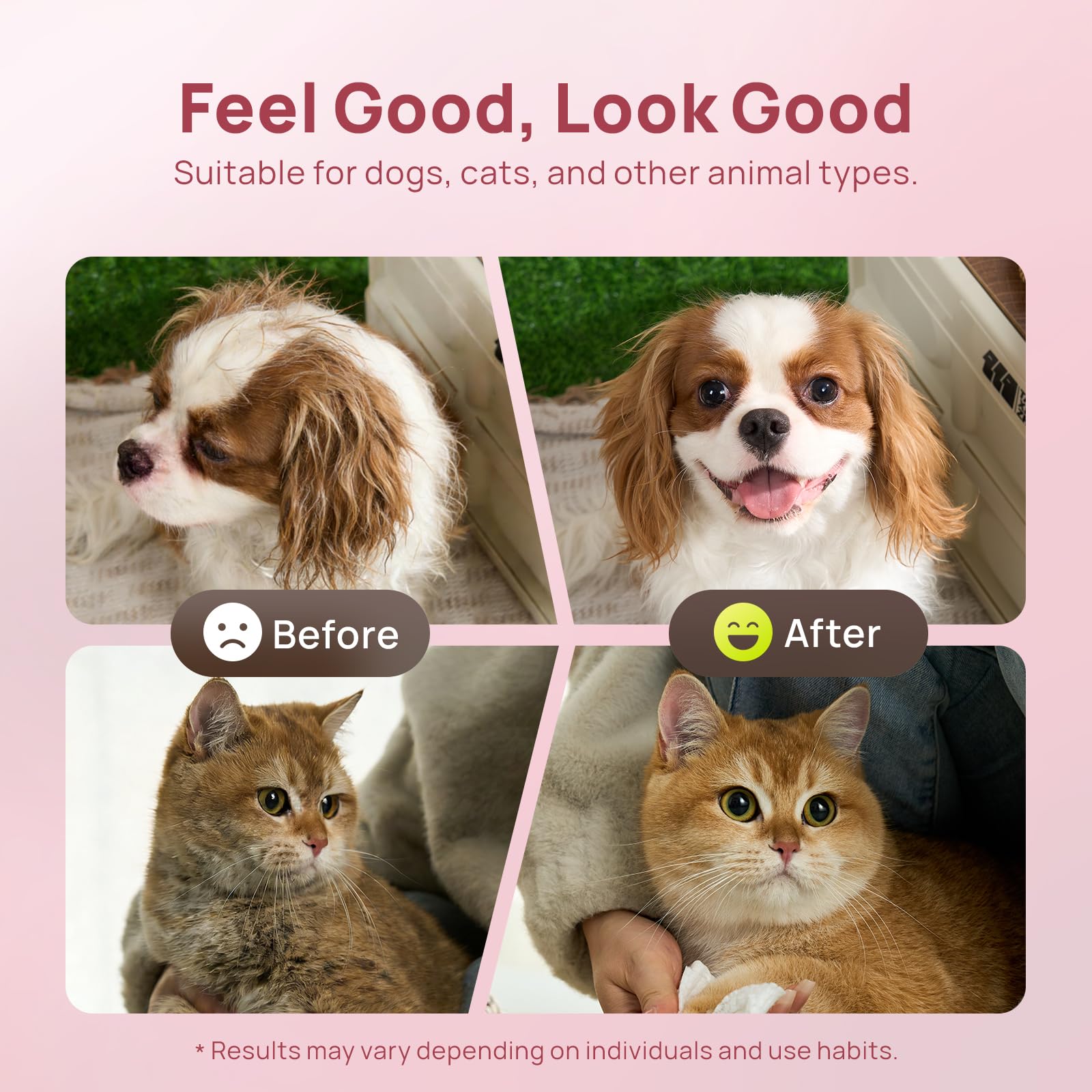 HICC PET Cleaning Wipes for face and fur grooming