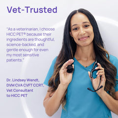 HICC PET dental gel application demonstrates gel being applied to teeth and gums.
