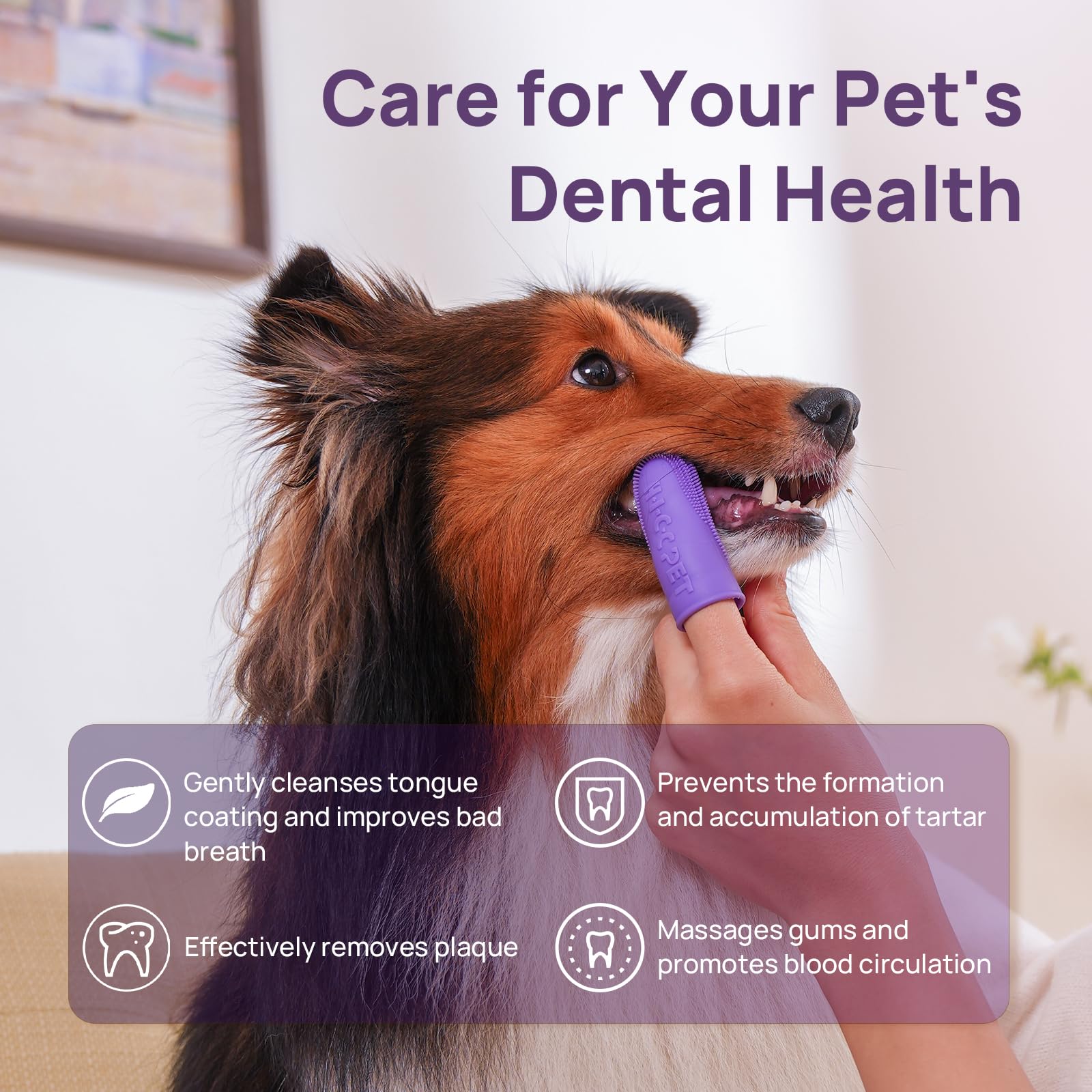 HICC PET finger toothbrush soft silicone tip for gentle cleaning