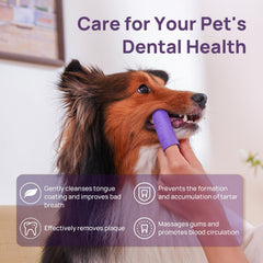 HICC PET finger toothbrush soft silicone tip for gentle cleaning