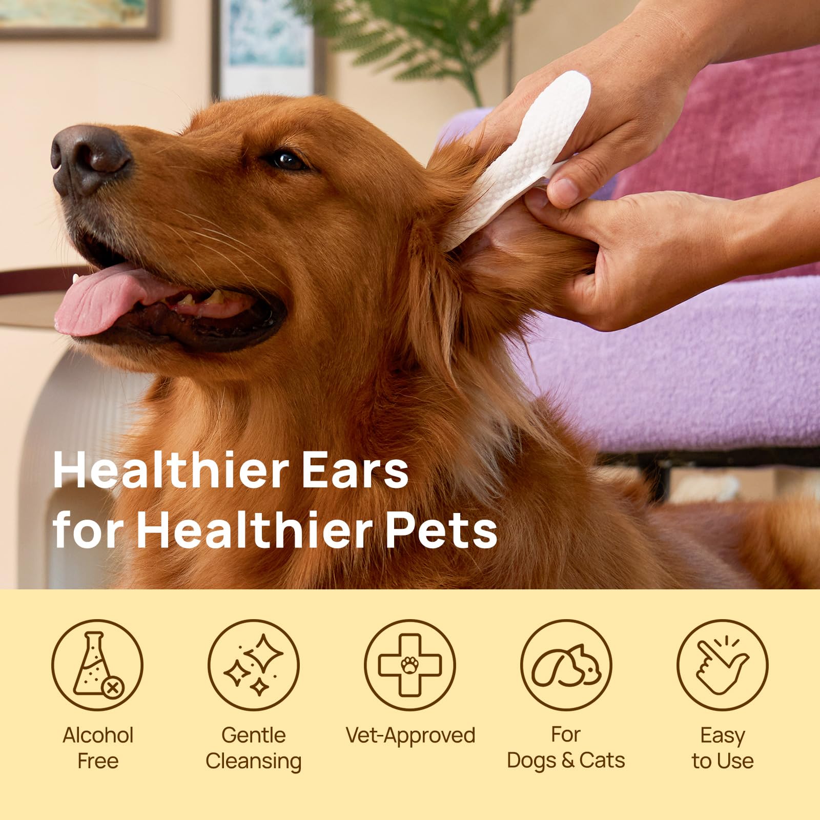 HICC PET wipe close-up applying around a dog's ear for gentle cleaning and odor reduction.