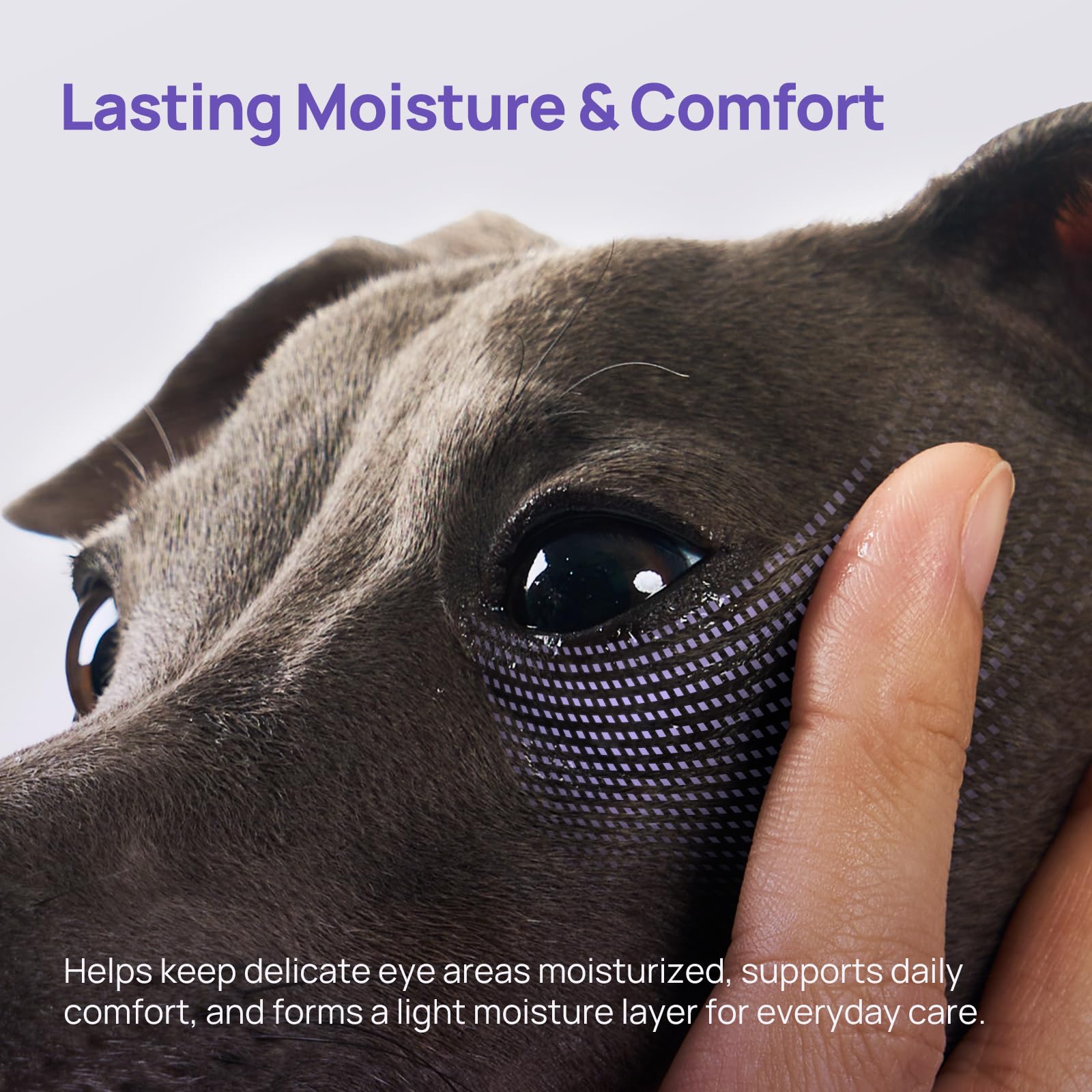 HICC PET Eye Gel near a cat's eye demonstrates gentle daily care.