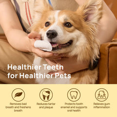 HICC finger wipes on a dog deliver flexible reach for hard-to-reach teeth.