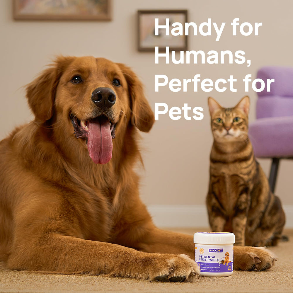 HICC Pet Oral Care Wipes suitable for dogs and cats.