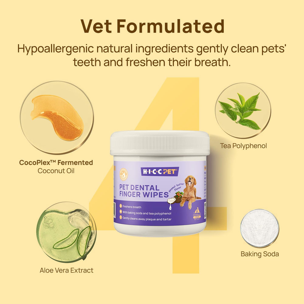 HICC PET Teeth Wipes on a cat's teeth for fresh breath