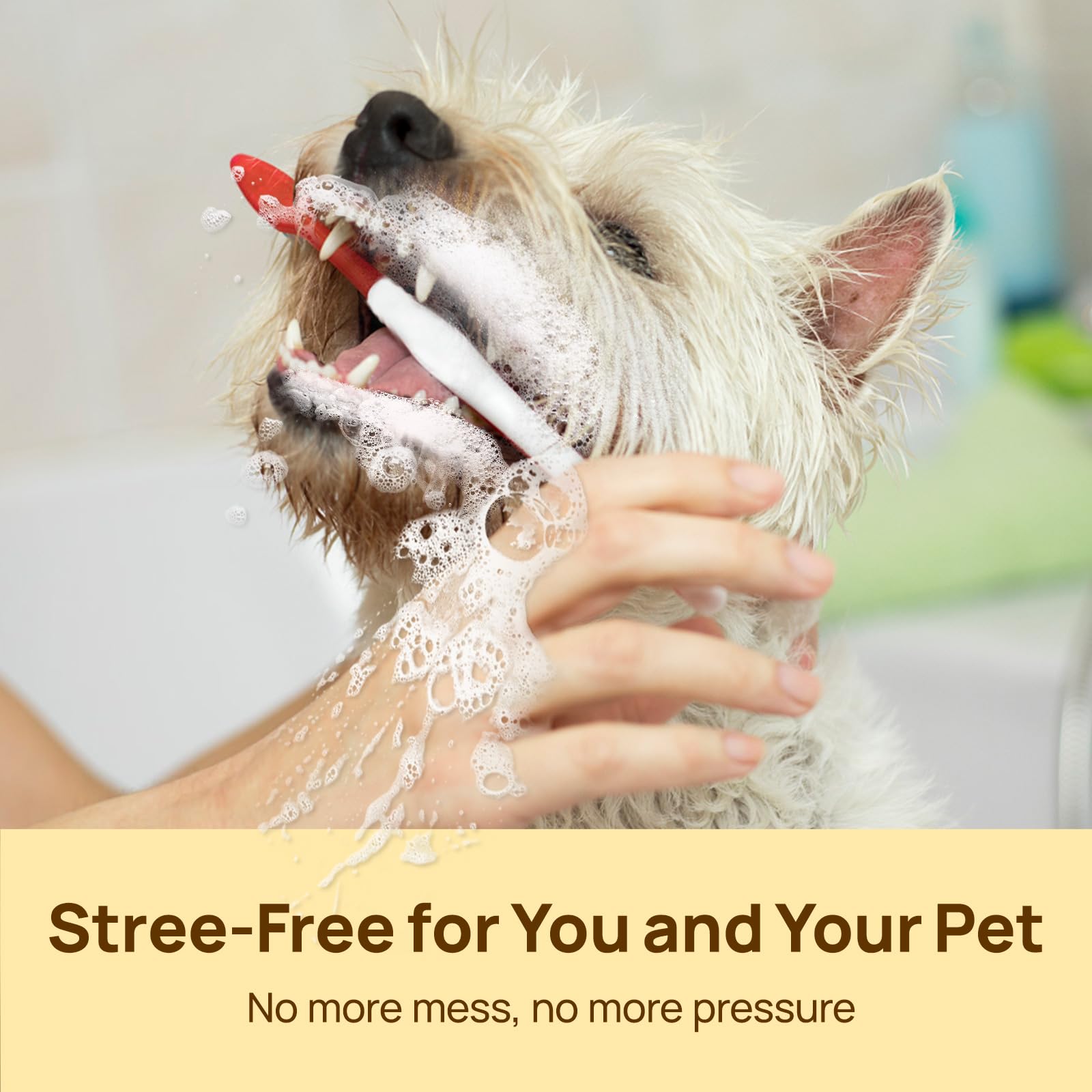 HICC travel-ready wipes for on-the-go pet dental care.