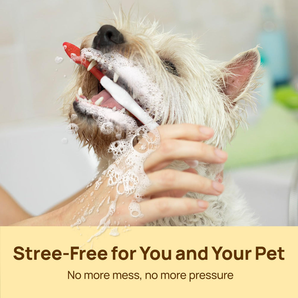 HICC travel-ready wipes for on-the-go pet dental care.